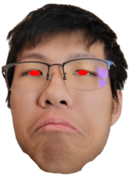 Ethan Dung stage 2 idle